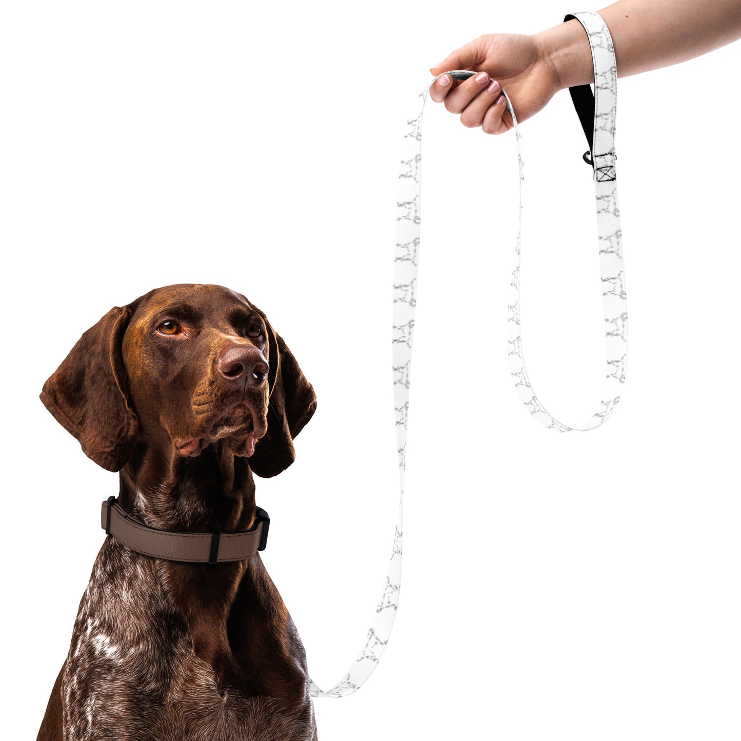 "Gun Dog" Leash